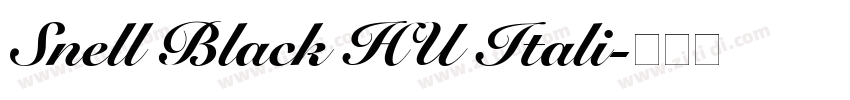 Snell Black HU Itali字体转换